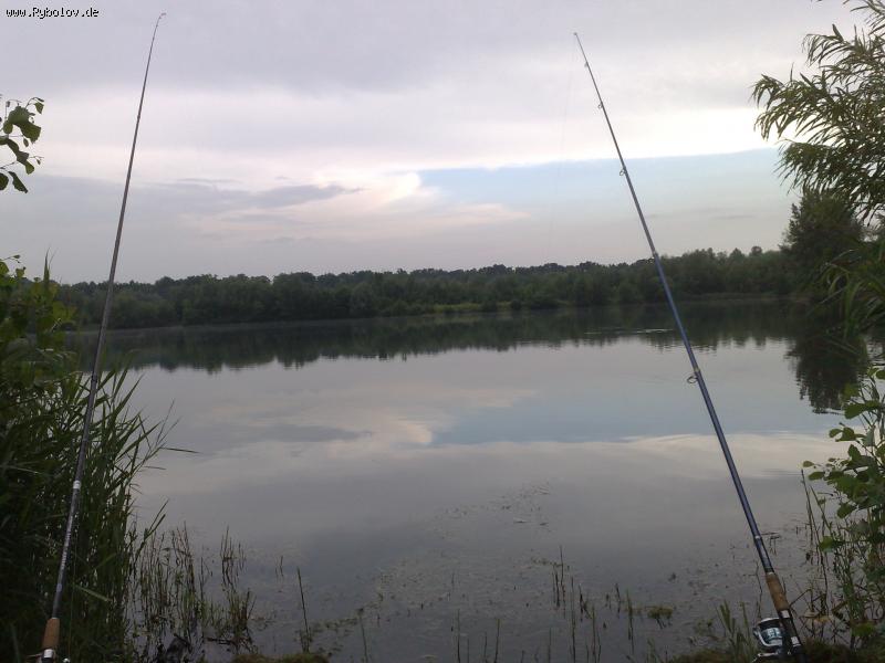 --����� �����... - ������� (����������)