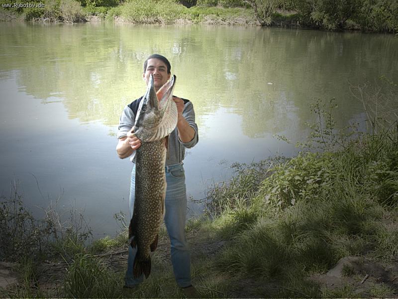 --���� - ������� (����������)