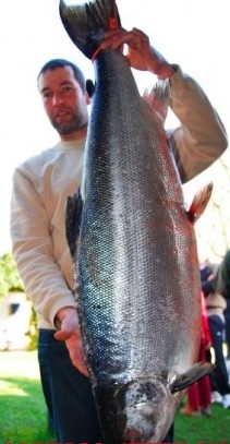 --LACKS  Ostsee - ������� (����������)