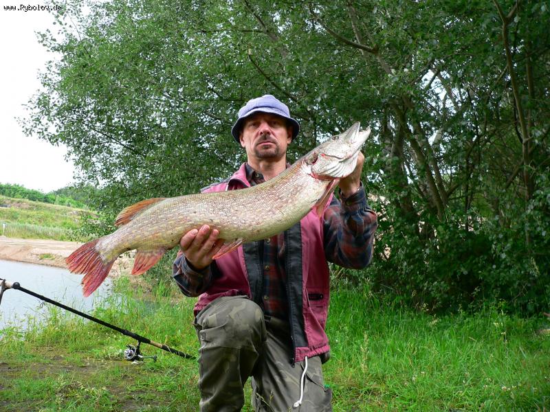 --����. - ������� (����������)