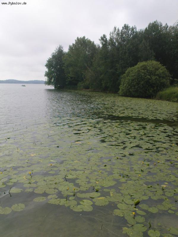 --карповые места - рыбалка (фотоальбом)