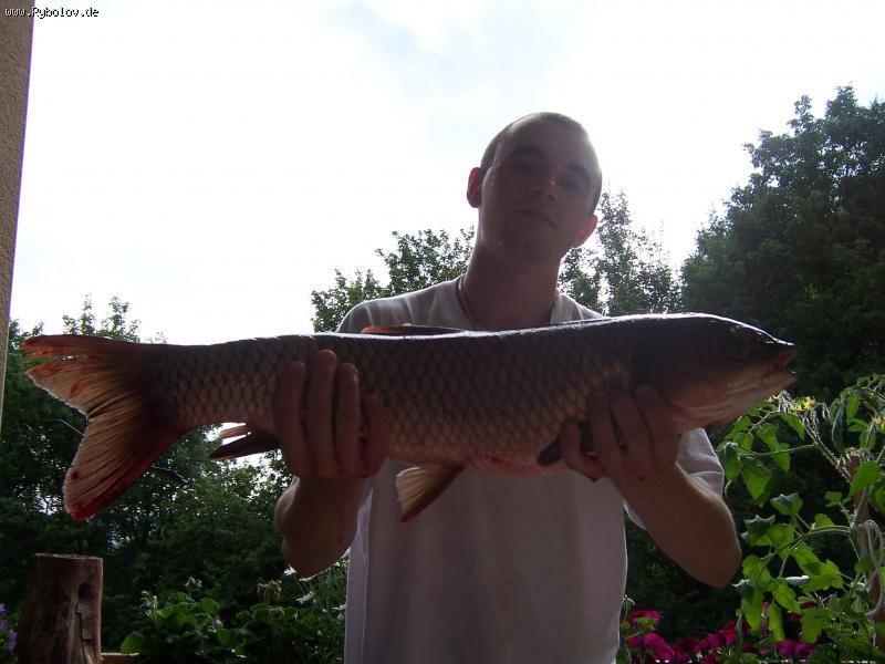 --��������� ���� - ������� (����������)