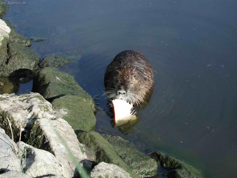 --��� ������! - ������� (����������)