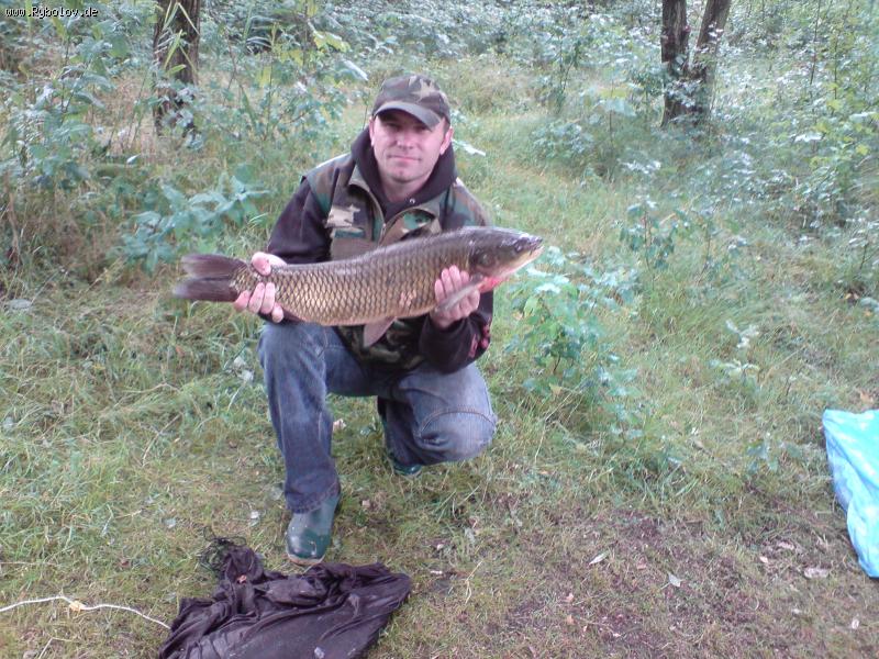 --������ N1. - ������� (����������)