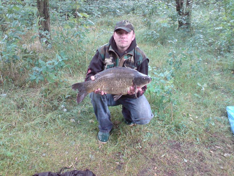 --������ N2. - ������� (����������)