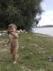 �����, ����� ������� � �����... - ������� (����������)