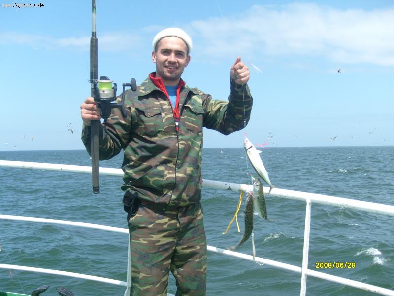 --Na more v Niderlandax. -  ()