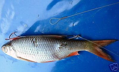 --������ 3 - ������� (����������)