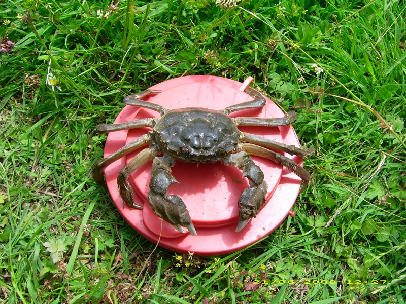 -- ����.... - ������� (����������)