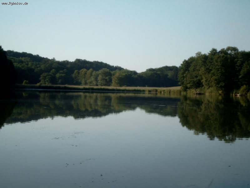 --Thierh&#228;user Teich 01.08.2008 -  ()
