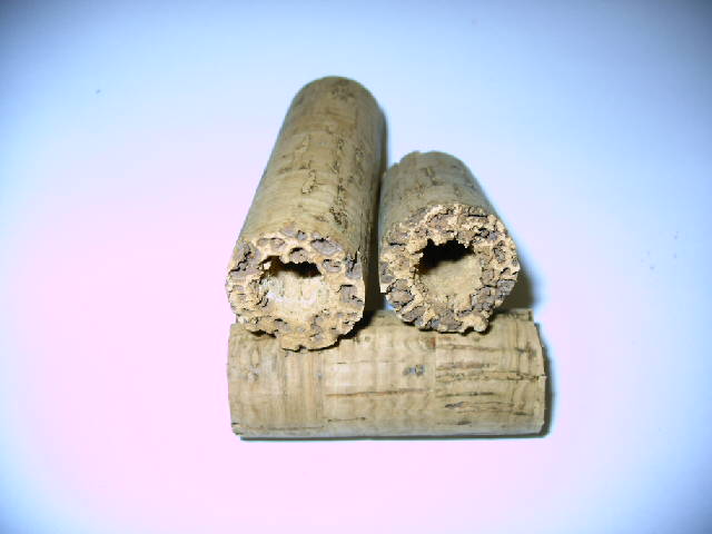 --���� ����-��� � ����! - ������� (����������)