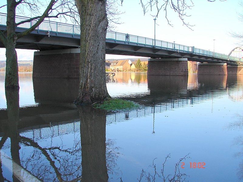 --Большая вода на Weser(e) 2006 - рыбалка (фотоальбом)