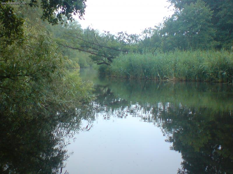 --Schwentine - рыбалка (фотоальбом)