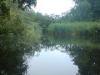 Schwentine -  ()