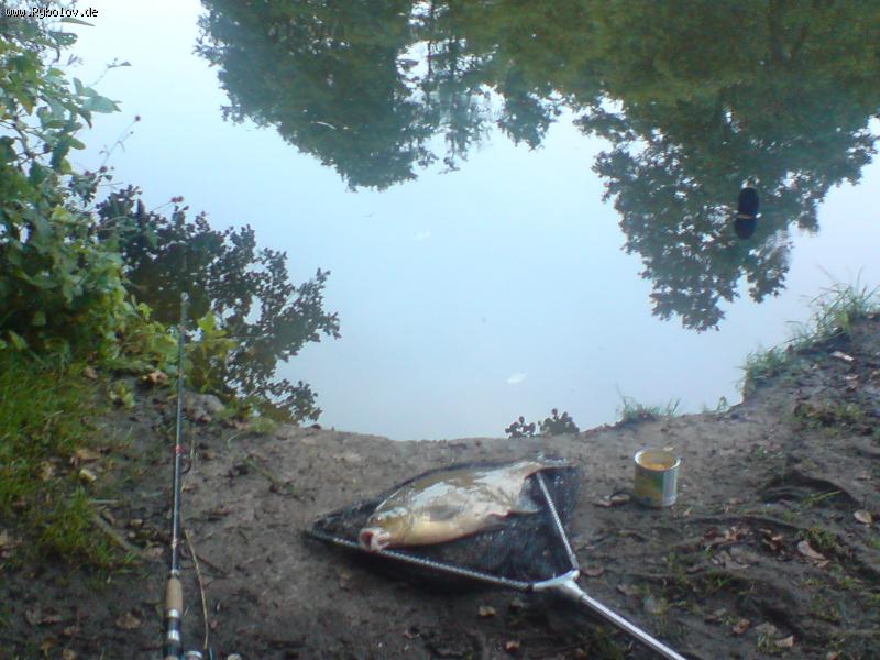 --��� 3��. - ������� (����������)