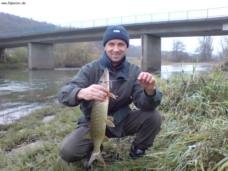 --���� �� ������������ ����� - ������� (����������)