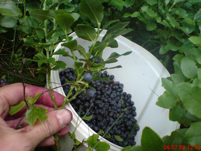 --������� � ���� - ������� (����������)