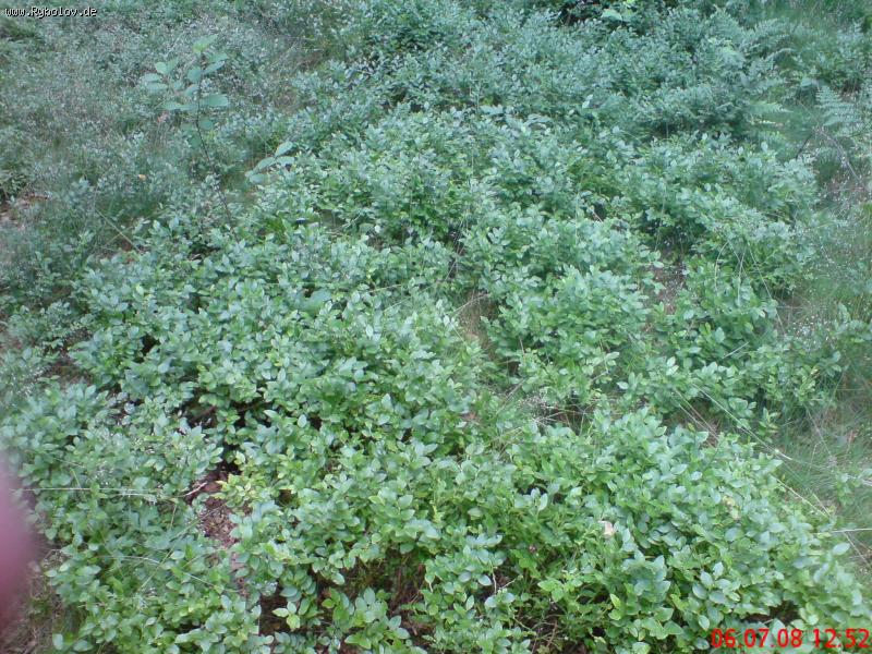 --����� � �������� - ������� (����������)