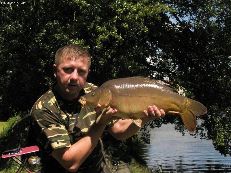 --���� �� 5.00�� - ������� (����������)