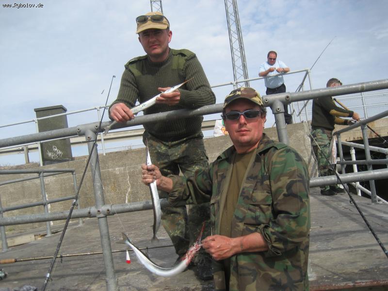 --D&auml;nemark 05.08 - ������� (����������)