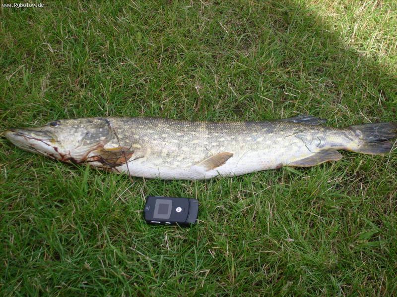 --������ �������. - ������� (����������)