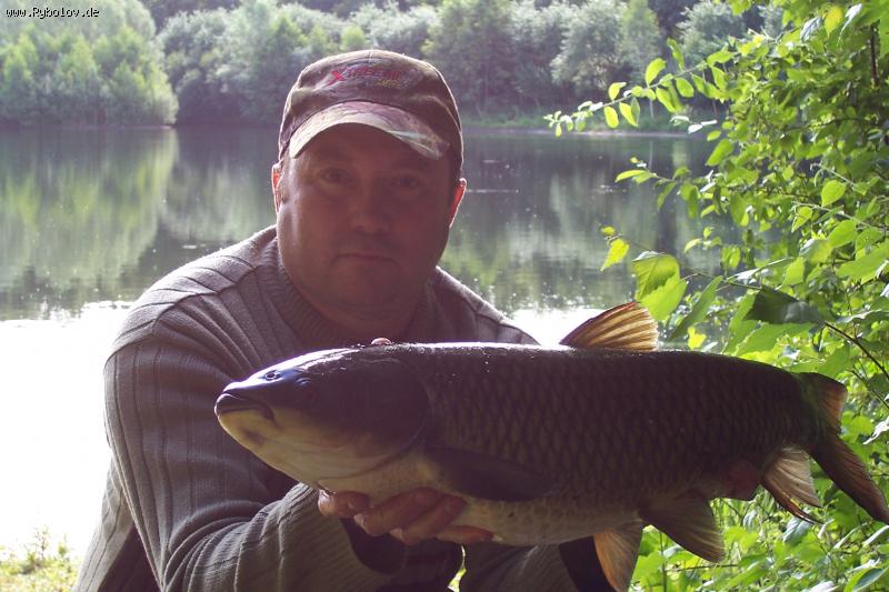 --���� - ������� (����������)