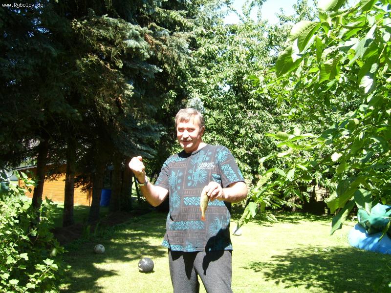 --���������� - ������� (����������)