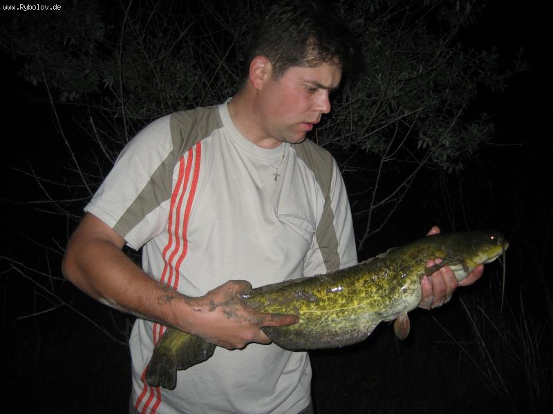 --��� - ������� (����������)