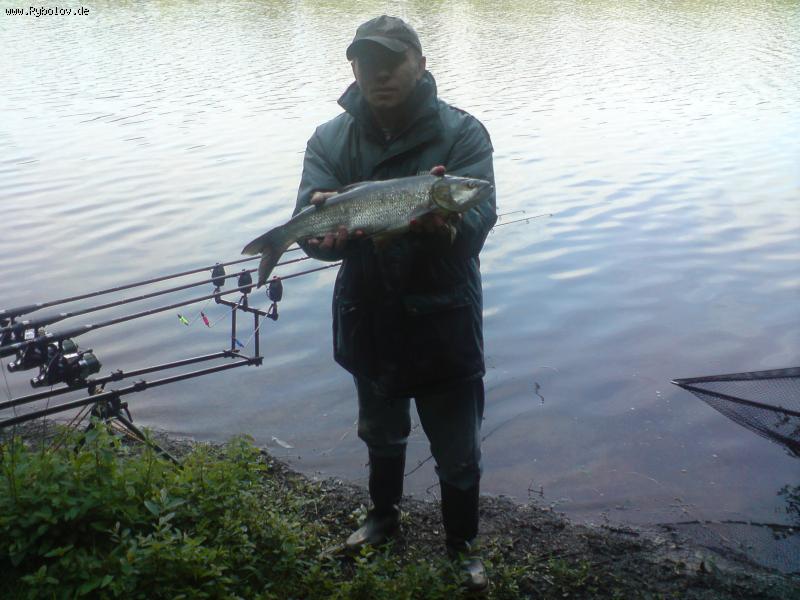 --����� �� ����� (����� ���� ������). - ������� (����������)