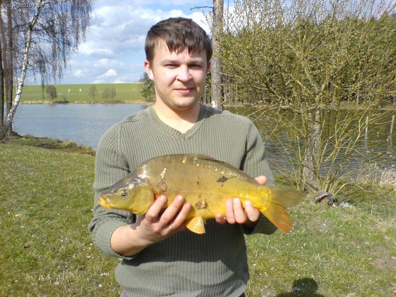 --������ ���� 2008 - ������� (����������)