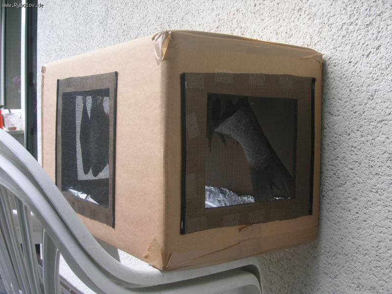 --����� ��� ����� ���� - ������� (����������)