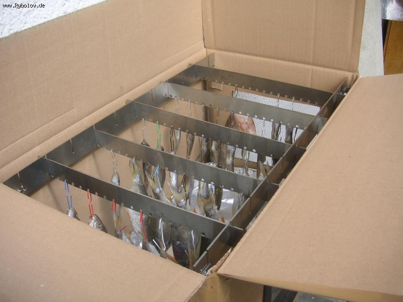 --����� ��� ����� ���� - ������� (����������)