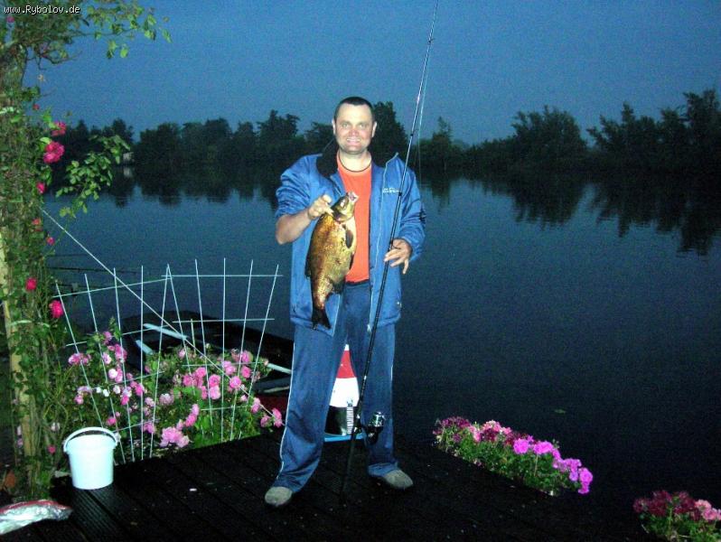 -- ������ , 59 �� .  Ferienhaus  Holland - ������� (����������)