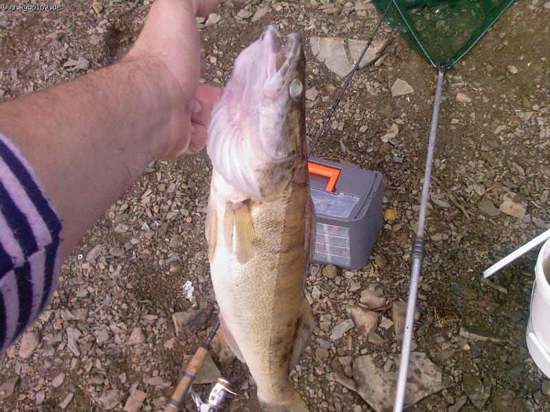 --19.07.08 - ������� (����������)