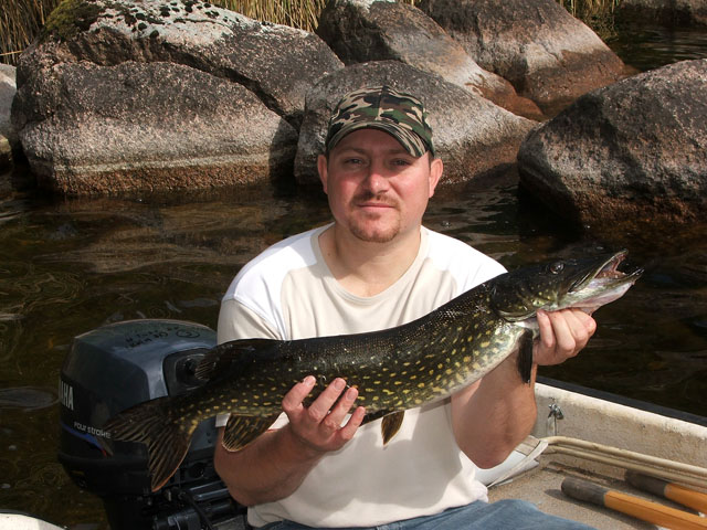 --�������� �����. - ������� (����������)