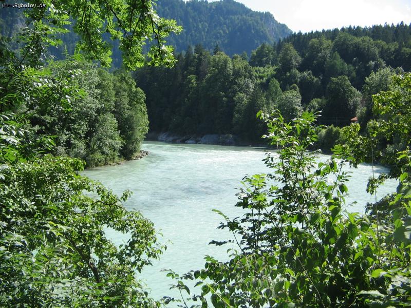 --,,Lech,, - ������� (����������)