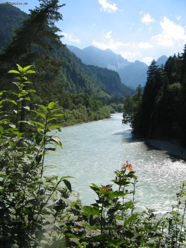 --,,Lech,, - ������� (����������)