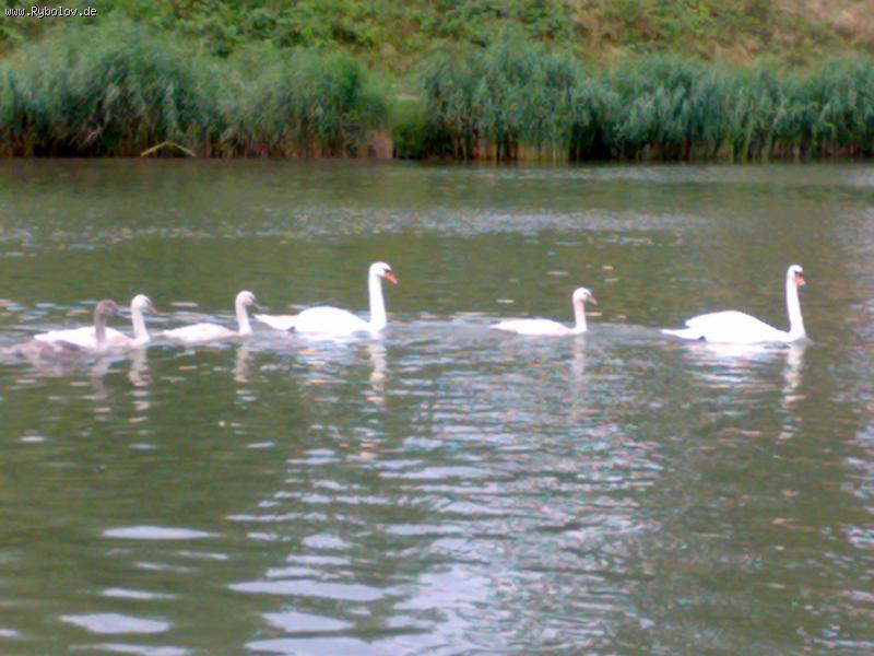 --������� - ������� (����������)