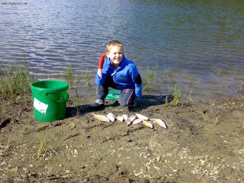 --����������. - ������� (����������)