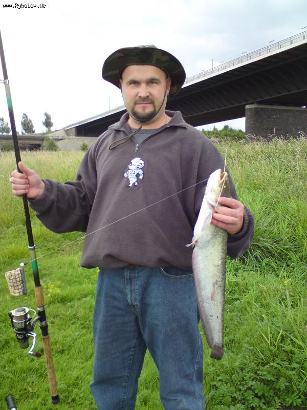 --�������� ��� - ������� (����������)