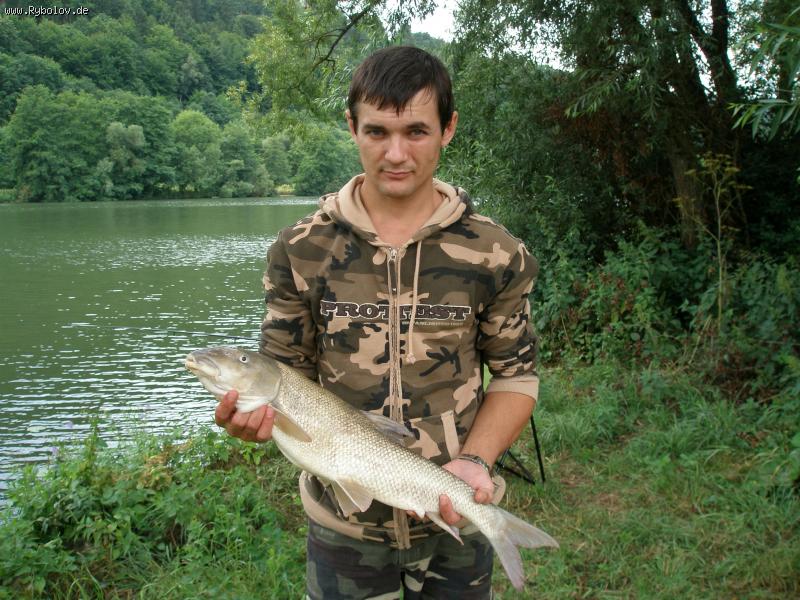 --����� - ������� (����������)