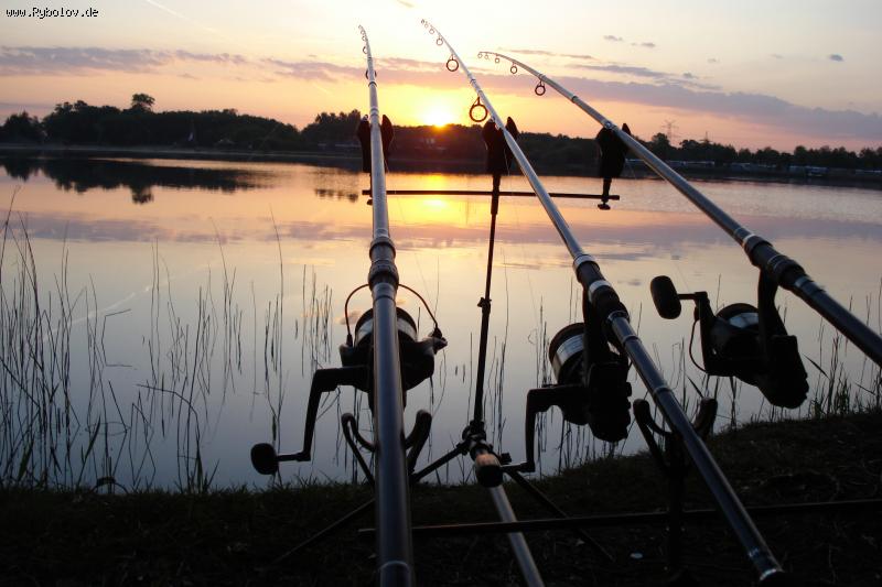 --rod pod - ������� (����������)