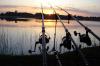 rod pod -  ()