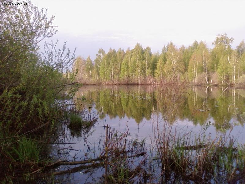 --"Чертово болото" - рыбалка (фотоальбом)