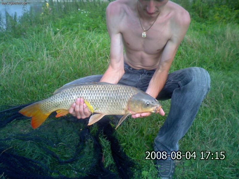 --�������� ��������... - ������� (����������)