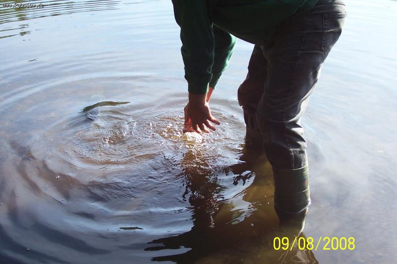 --����� �����... - ������� (����������)