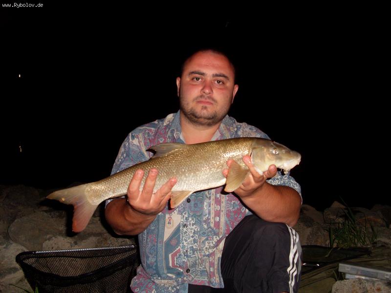 --������� �� ����� �� �����!!! - ������� (����������)