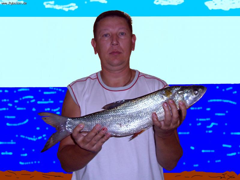 --����� - ������� (����������)