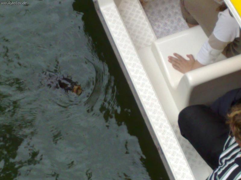 --������� ����� ������! - ������� (����������)