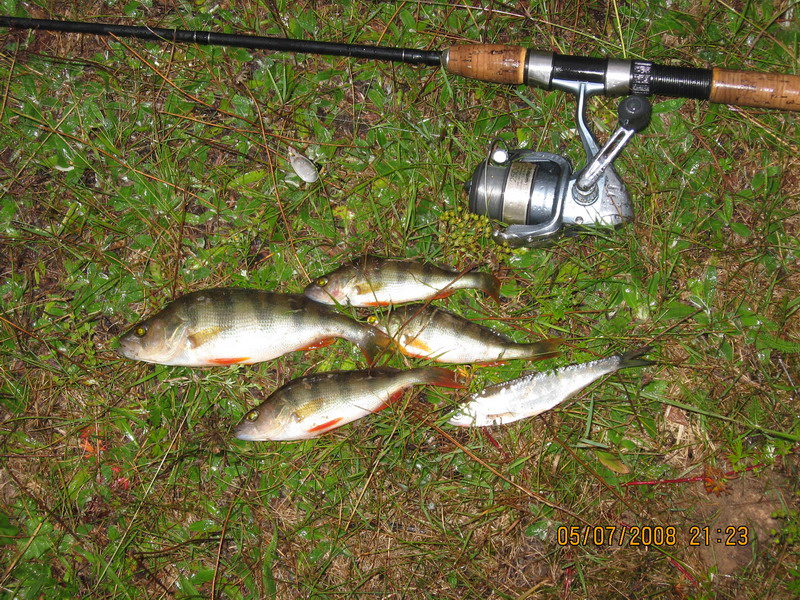 --Netts Crack2_2 - ������� (����������)